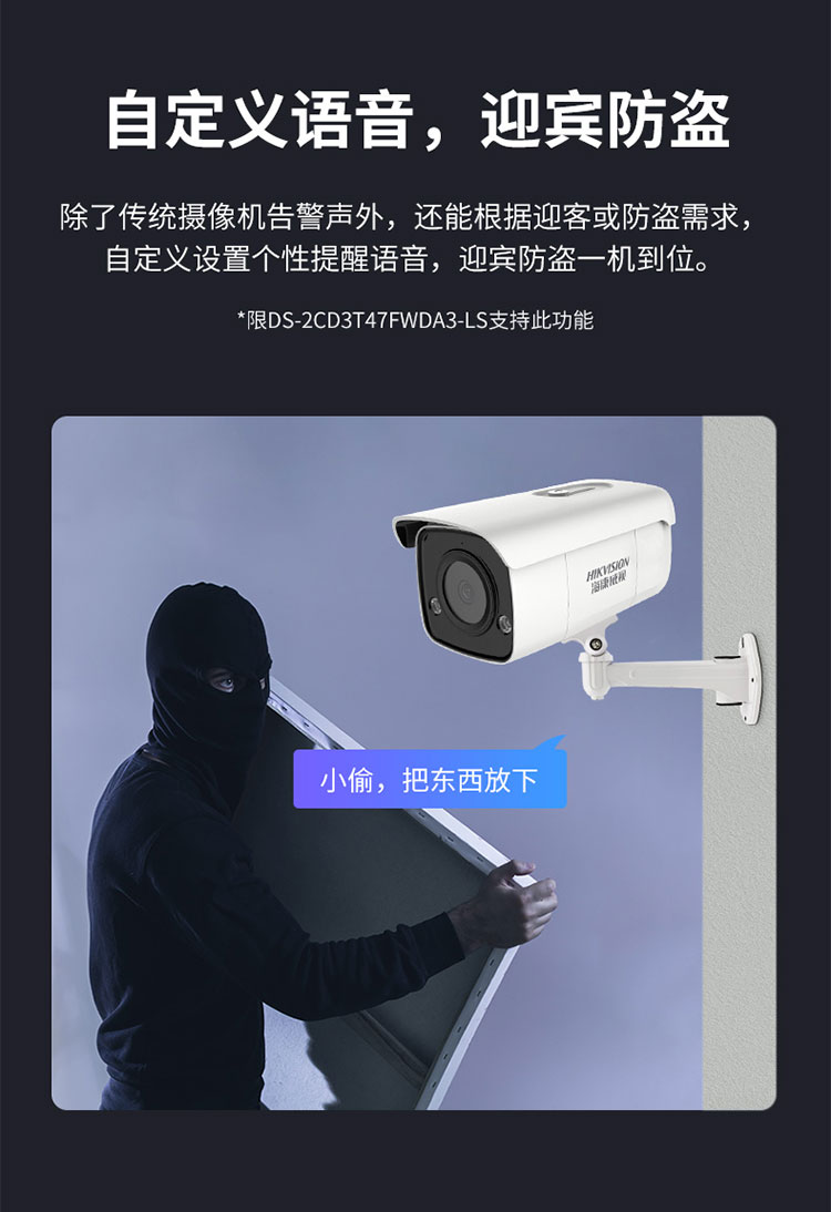 智能警戒攝像機